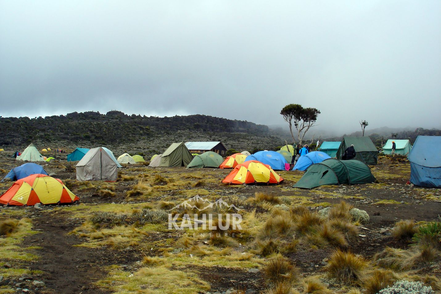 Kilimanjaro ACUTE MOUNTAIN SICKNESS - Kahlur India