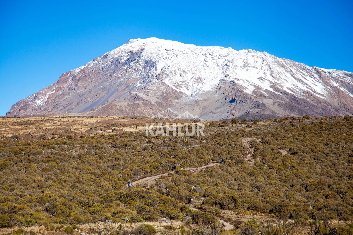 Kilimanjaro price - Kahlur India