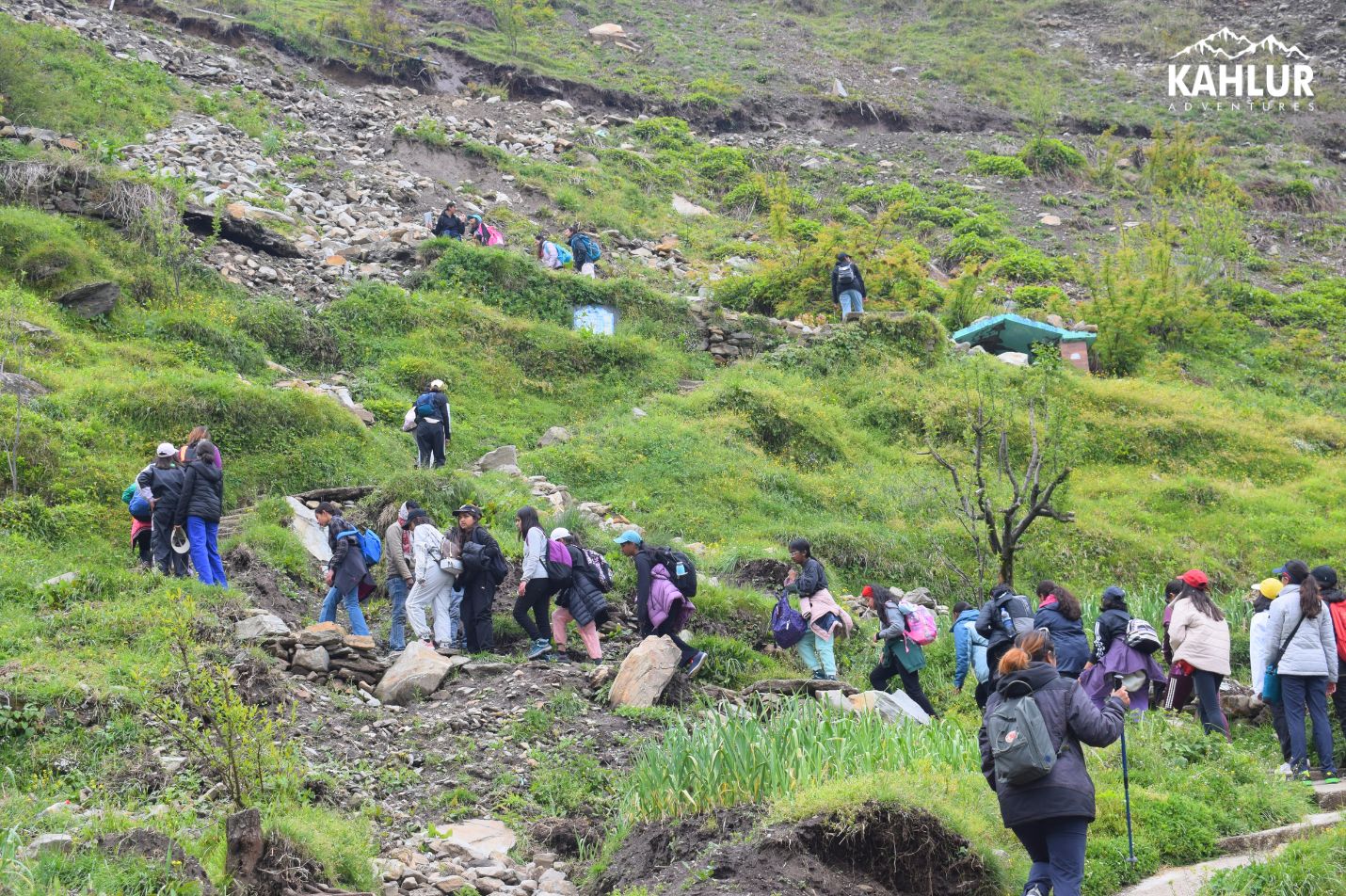 Bhrigu Lake Trek India Outdoor Educational Tours kahlur adventures