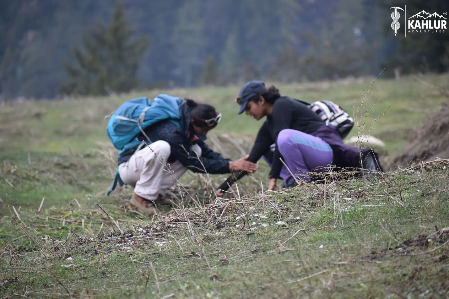 Forging Bonds Through Teamwork in Experiential Learning Adventures- kahlur adventures